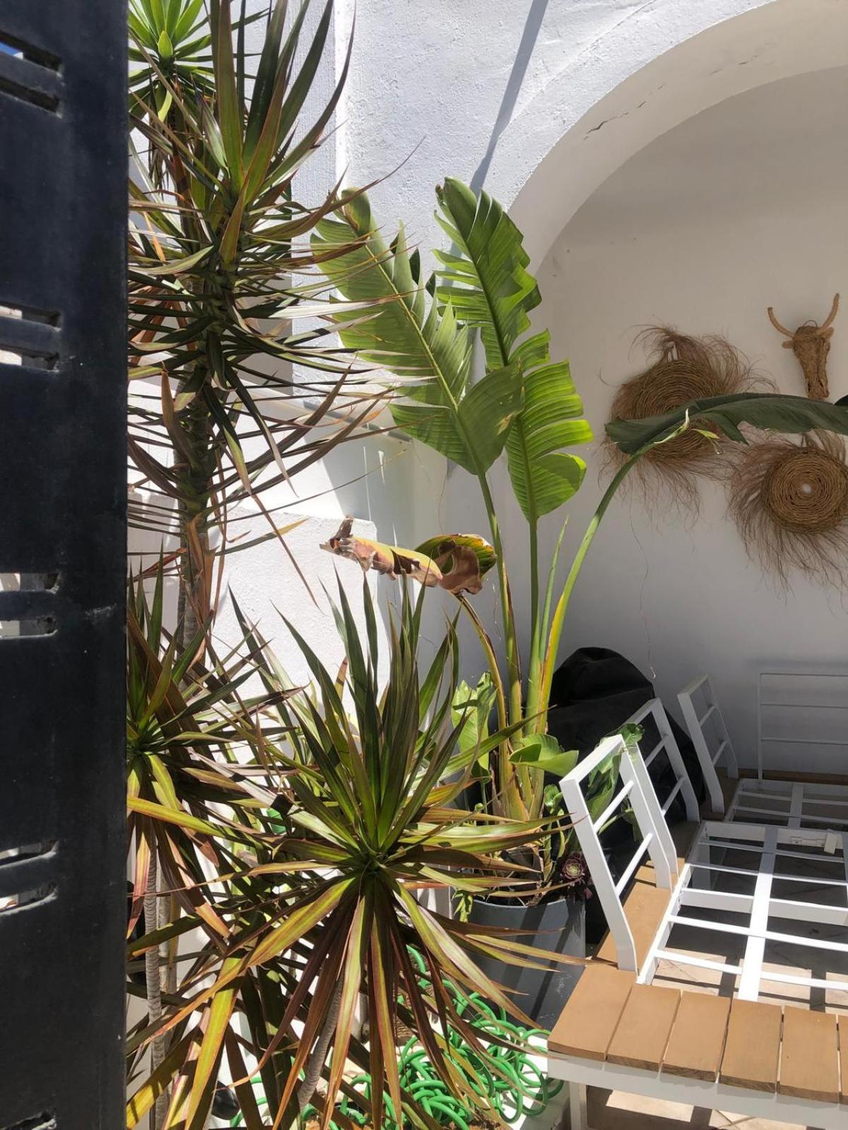 Apartamento Casa Kava In A Superior Near Cabopino No Car Needed Marbella